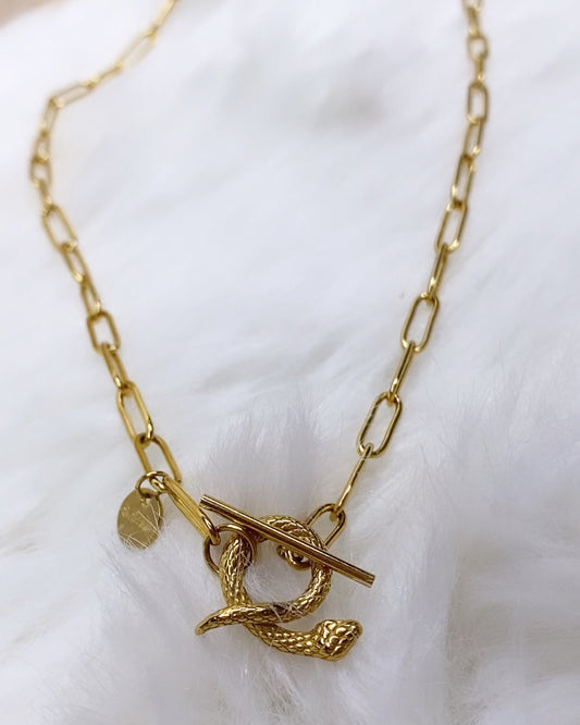 Collier Snake