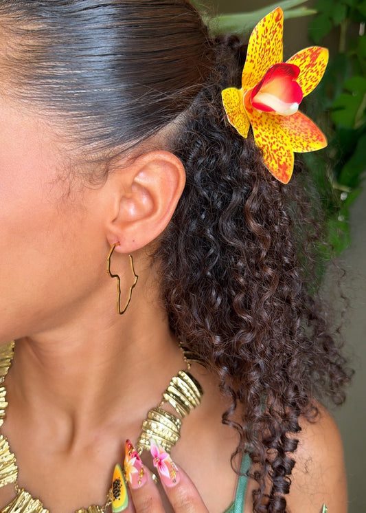 Boucles d'oreilles Afrique