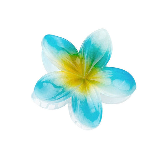 Pince à cheveux Hawaï