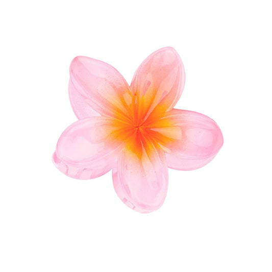 Pince à cheveux Hawaï