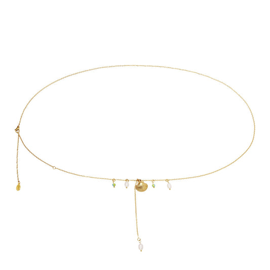 Chaîne ventre Coquillage